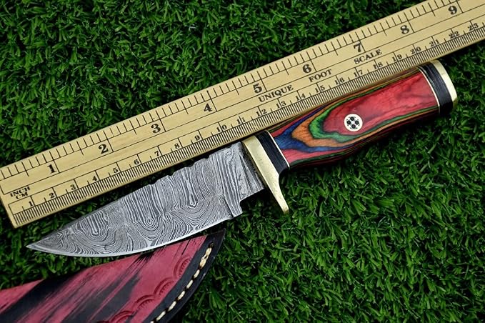 8-Inch Hand-Forged Damascus Steel Hunting Knife Fixed Blade Skinning Design with Leather Sheath Multicolor Wood Handle Brass Guard Twist Pattern Blade for Camping (Multi Color)