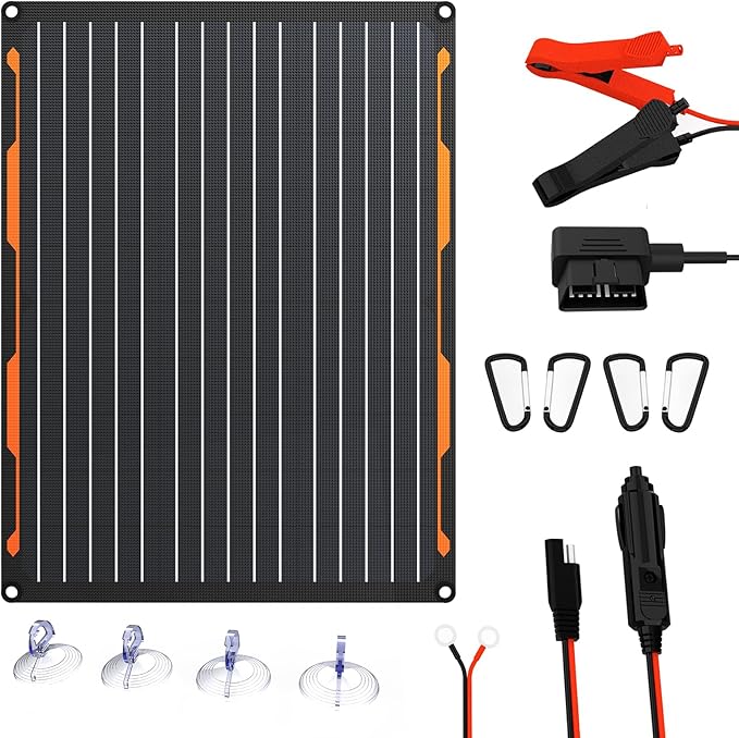 FlexSolar 20W 12V Solar Panel Battery Charger Maintainer Kits Trickle Charger with Built-in Charge Controller Cigarette Lighter Alligator Clips O-Rings OBDII Connector for Car TruckTractor Boat