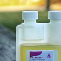 CSI Stryker Insecticide Concentrate 1pt