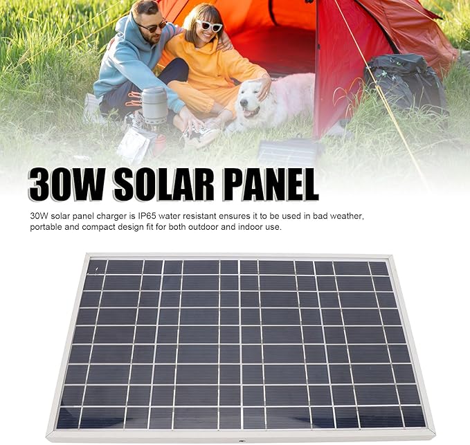 30W 12V Solar Panel Battery Charger Maintainer Portable Solar Panel Charger with Alligator Clips for Outdoor Camping Travel IP65 Portable for Car Boat RV Marine