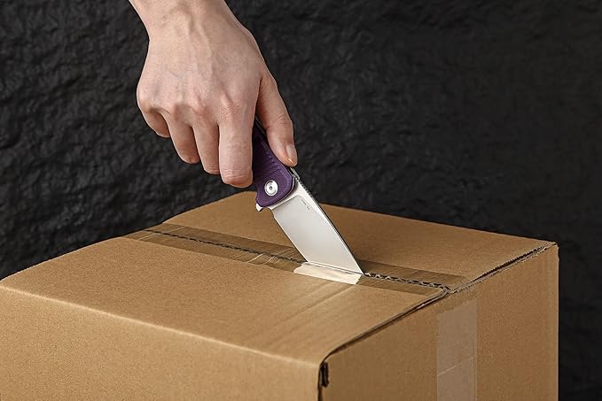 Firebird Ganzo G769-PL EDC Folding Pocket Knife Razor Sharp D2 Stainless Steel Blade G10 Handle with Clip Outdoor Pocket Knife Hunting Fishing Hiking Folder Best Gift for Men (Purple)