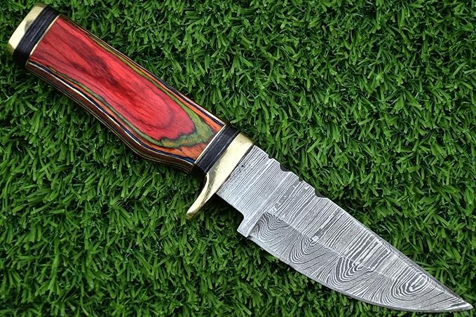 8-Inch Hand-Forged Damascus Steel Hunting Knife Fixed Blade Skinning Design with Leather Sheath Multicolor Wood Handle Brass Guard Twist Pattern Blade for Camping (Red/Green)