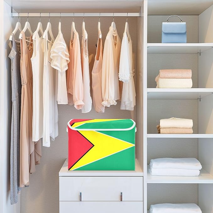Guyana Flag Guyanese Blue Red Storage Boxes with Lids Collapsible Square Storage Garage Storage Bins for Office Supplies