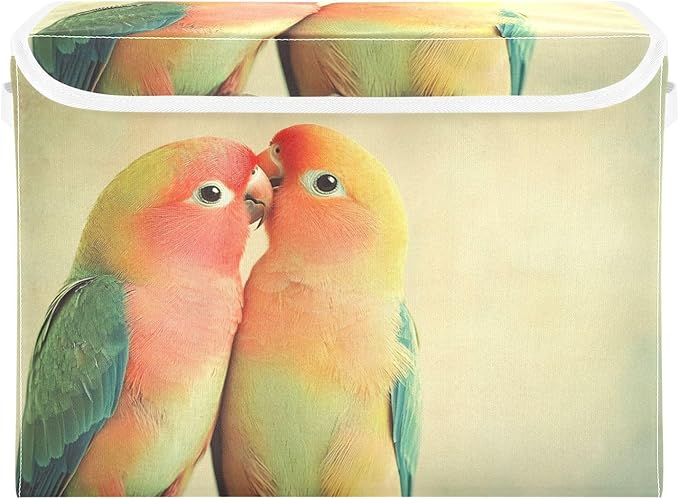 AIXIWAWA Lidded Storage Cube (Love Parrot) Fabric Foldable Closet Bins with Flip Lid and Handles Organizer Basket Container 16.5 x 12.6 x 11.8 IN