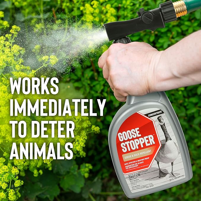 Goose Stopper Liquid Animal Stopper Repellent All Natural Effective All Year Round Safe for People and Pets No Harsh Chemicals Ready to Use Goose Repellent - 32. oz