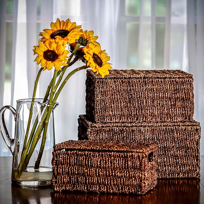 Trademark Innovations Set of 3 Rectangular Seagrass Baskets with Lids Brown (Small)