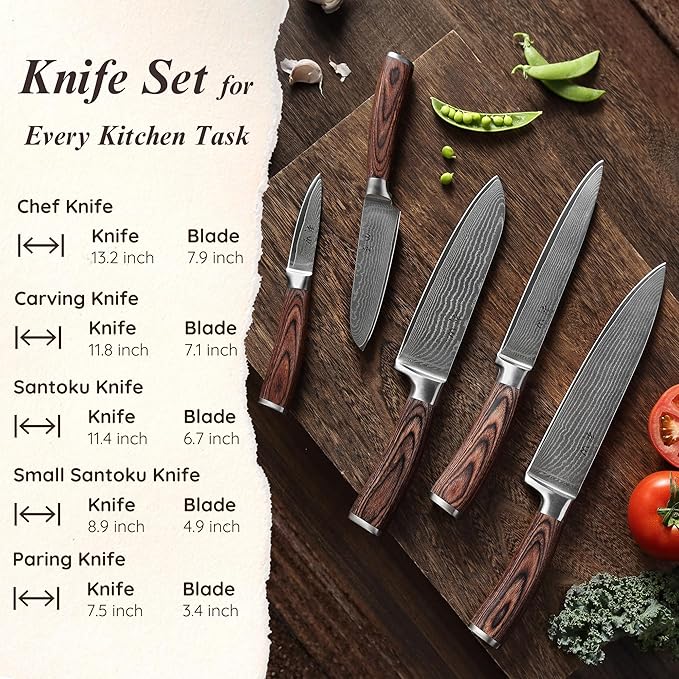 Wakoli EDIB 5-Piece Damascus Knife Set Professional Kitchen Knives made of 67-Layer Damascus Steel with VG10 Core Blades Ergonomic Pakkawood Handles In Wooden Gift Box