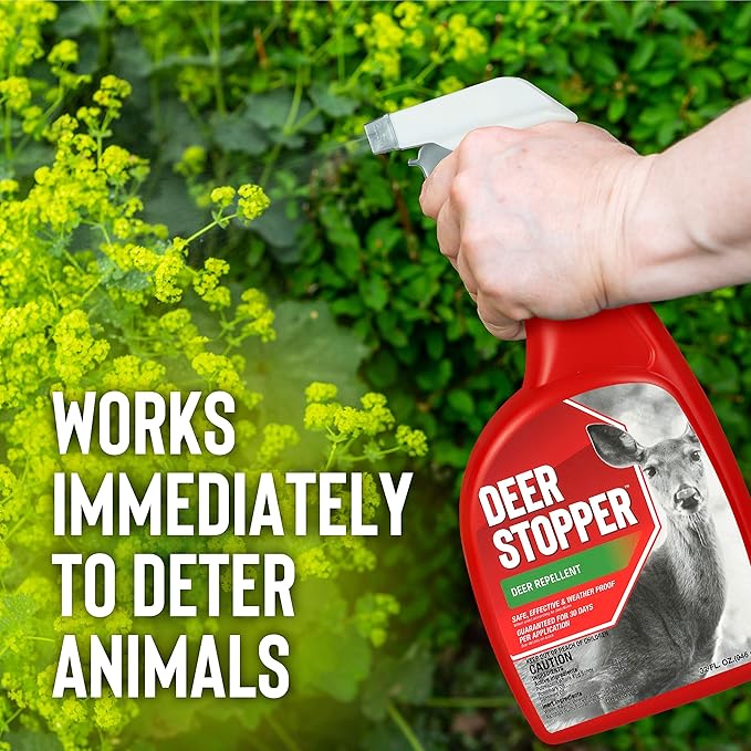 Deer Stopper All Natural Deer Moose &amp Elk Repellent Bundle - 1 Gallon &amp 32 oz Triggers