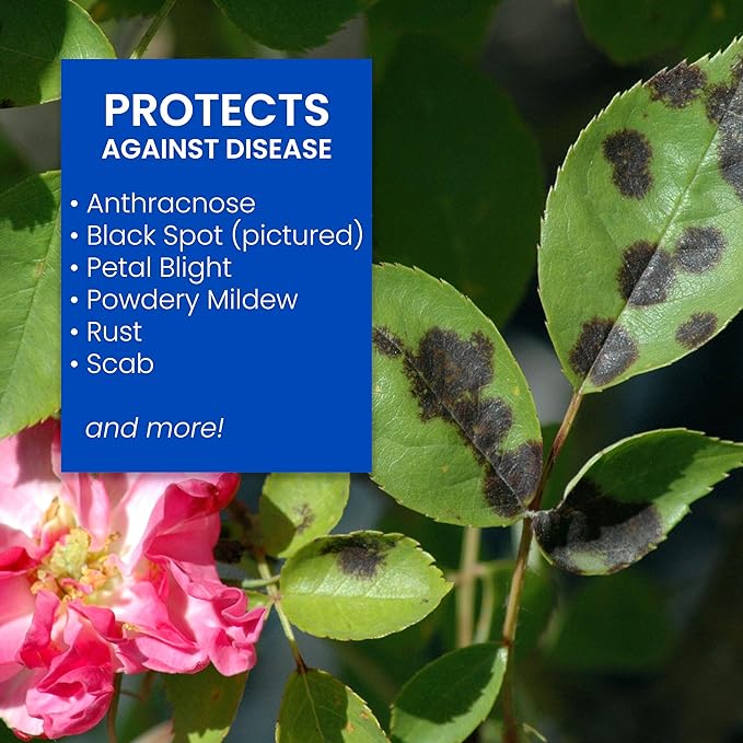 BioAdvanced 3-in-1 Insect and Mite Plant Bug Spray Pest Control Concentrate Disease Control