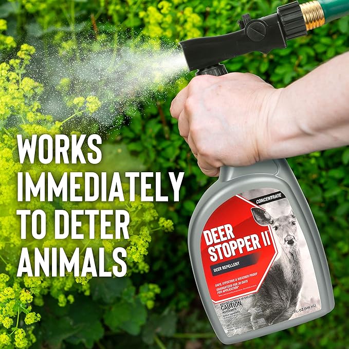 Deer Stopper II 1 Gallon &amp Messina 1 Gallon Deer Repellents - All Natural Safe Around Produce Repel Deer Elk Moose 30 Day Protection