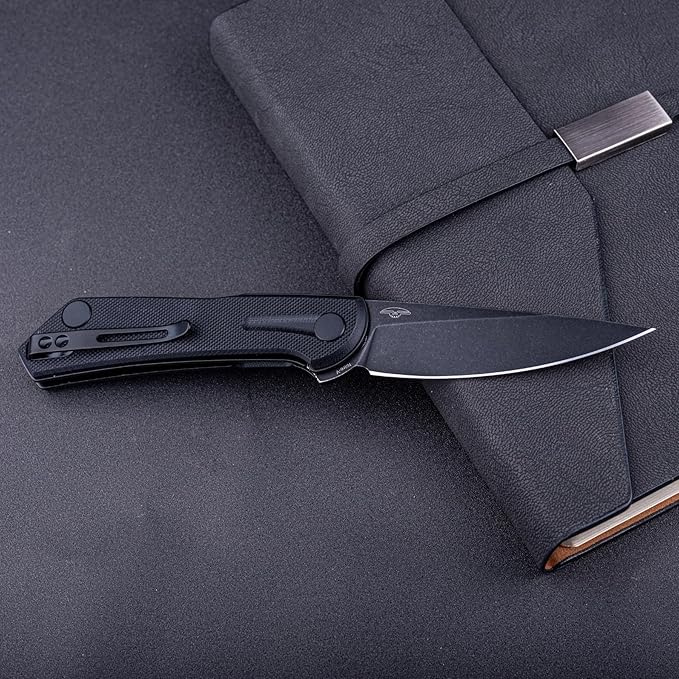 Real Steel VALORE liner lock flipper Pocket Knife - Nitro-V Steel ball bearing  G10 HandleTwo-Bolt Design Language of Poltergeist Works - Perfect for Camping Hiking EDC Cutting Tasks (Black G10/B