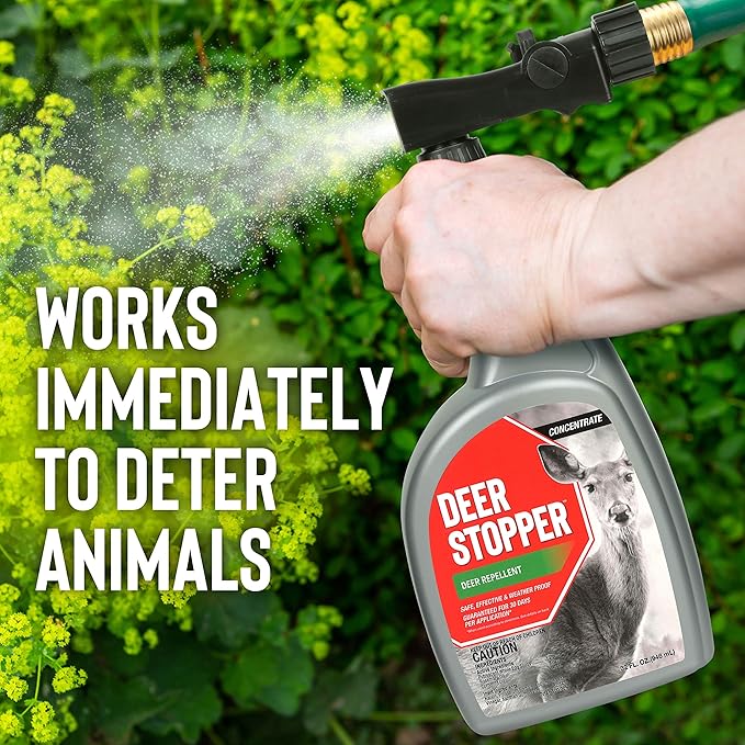 Deer Stopper II 1 Gallon &amp Messina 1 Gallon Deer Repellents - All Natural Safe Around Produce Repel Deer Elk Moose 30 Day Protection