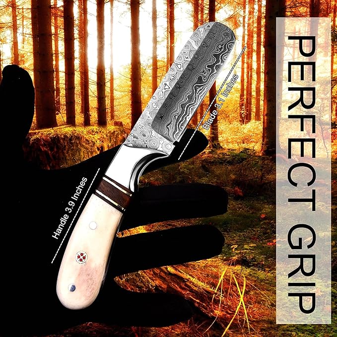 Handmade Damascus Steel Bull Cutter with Pancake Leather Sheath Fixed Blade Cowboy Knife with Bone/Walnut Handle Utility EDC Hunting Knife (Camel Bone)
