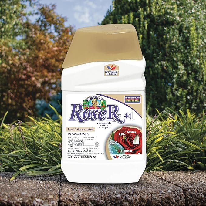 Bonide Captain Jack's Rose Rx 4-in-1 Insect &amp Disease Control 16 oz Concentrate Neem Oil for Organic Gardening