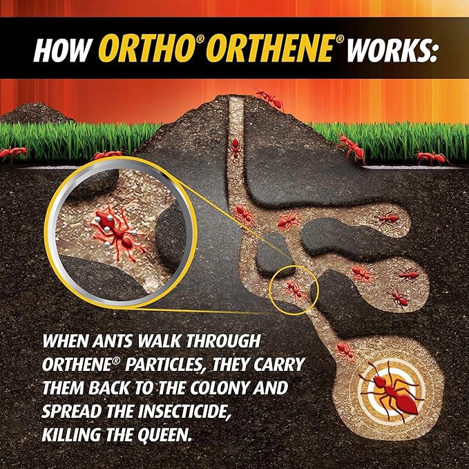 Ortho Orthene Fire Ant Killer1 Kills Queen Destroys up to 162 Mounds Begins Working in 60 Minutes 12 oz. 3-Pack