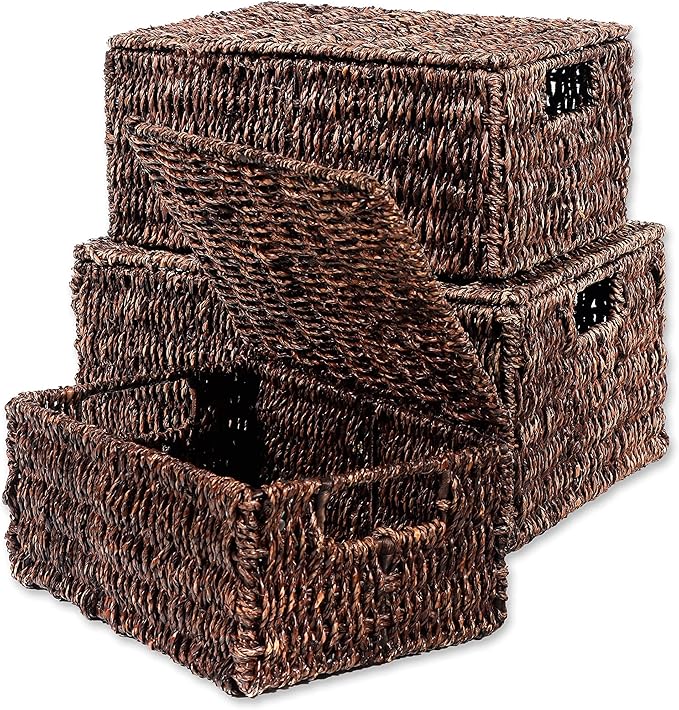 Trademark Innovations Set of 3 Rectangular Seagrass Baskets with Lids Brown (Small)