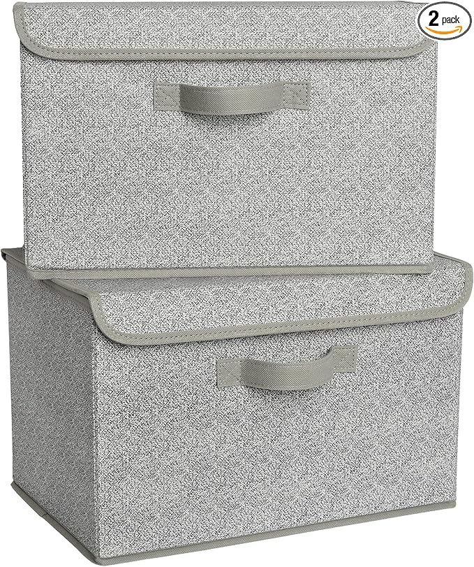 GRANNY SAYS Closet Storage Bins Storage Boxes with Lids Clothes Organizing Bins Lidded Baskets for Toys Clothing Gray Extra Large 2-Pack