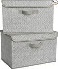 GRANNY SAYS Closet Storage Bins Storage Boxes with Lids Clothes Organizing Bins Lidded Baskets for Toys Clothing Gray Extra Large 2-Pack