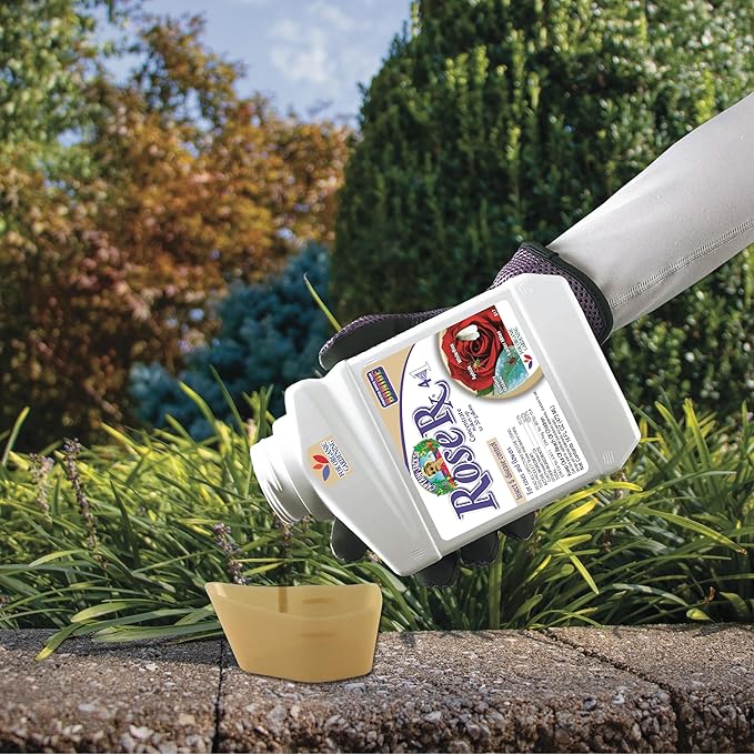 Bonide Captain Jack's Rose Rx 4-in-1 Insect &amp Disease Control 16 oz Concentrate Neem Oil for Organic Gardening