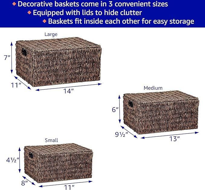 Trademark Innovations Set of 3 Rectangular Seagrass Baskets with Lids Brown (Small)