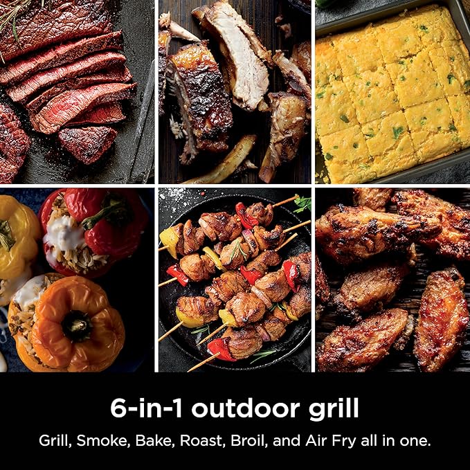 Ninja Woodfire Outdoor Grill &amp Smoker 6-in-1 Functionality Grill Smoke Bake Roast Air Fry Broil Authentic Woodfire Flavors Electric Heat OG321