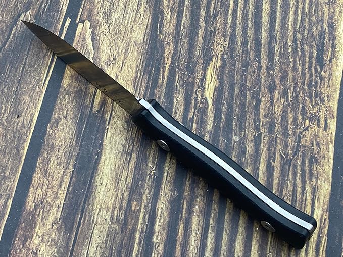 TWO SUN SixLeaf SL-41-G10 Micro Fixed Blade Knife M390 Steel G10 handle Belt Sheath EDC Mini Tool