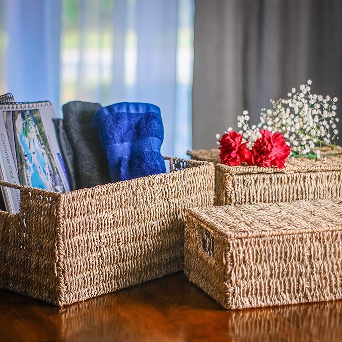 Trademark Innovations Set of 3 Rectangular Seagrass Baskets with Lids Natural (Small)
