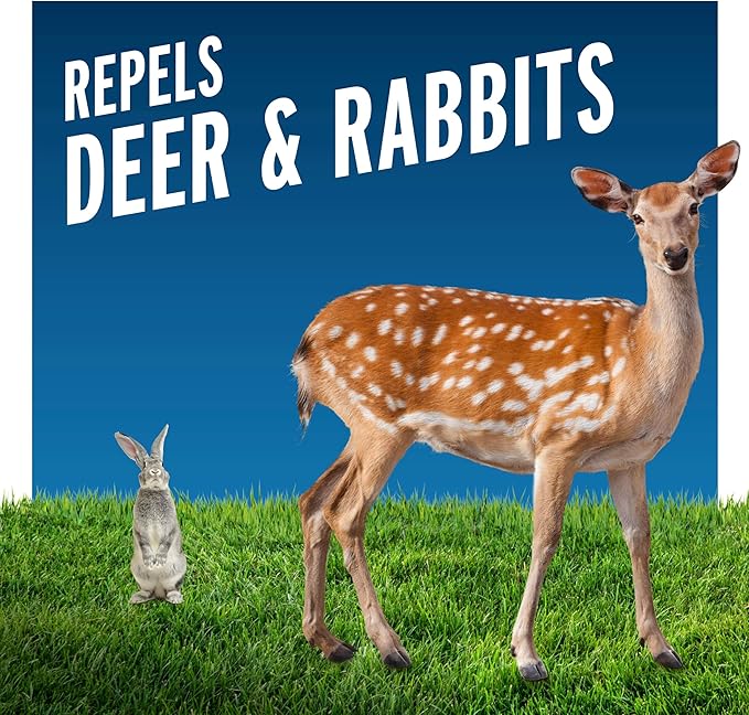 Liquid Fence Deer And Rabbit Repellent Concentrate 2.5 Gallons Apply Year-Round