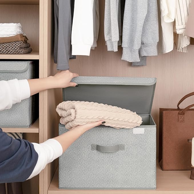 GRANNY SAYS Closet Storage Bins Storage Boxes with Lids Clothes Organizing Bins Lidded Baskets for Toys Clothing Gray Extra Large 2-Pack