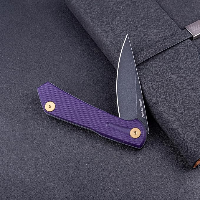 Real Steel VALORE liner lock flipper Pocket Knife - Nitro-V Steel ball bearing  G10 HandleTwo-Bolt Design Language of Poltergeist Works - Perfect for Camping Hiking EDC Cutting Tasks (Pruple G10/