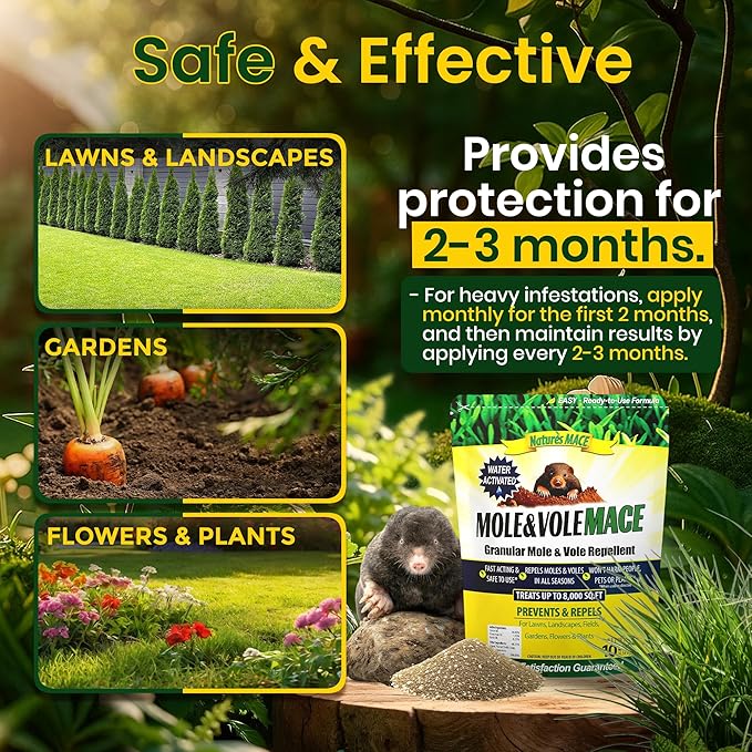 Nature's MACE Mole &amp Vole MACE – Yard &amp Garden Granules Castor Oil Formula Outdoor Use Plant &amp Pet Safe 160 Fl Oz (Pack of 1)