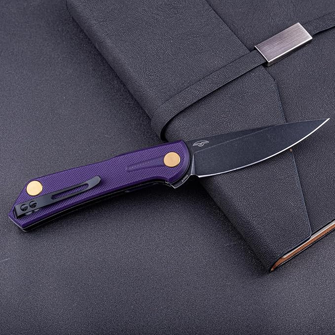 Real Steel VALORE liner lock flipper Pocket Knife - Nitro-V Steel ball bearing  G10 HandleTwo-Bolt Design Language of Poltergeist Works - Perfect for Camping Hiking EDC Cutting Tasks (Pruple G10/