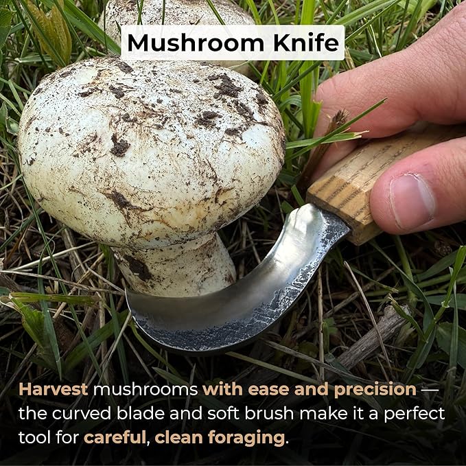 Sharky Mushroom Knife with Leather Sheath