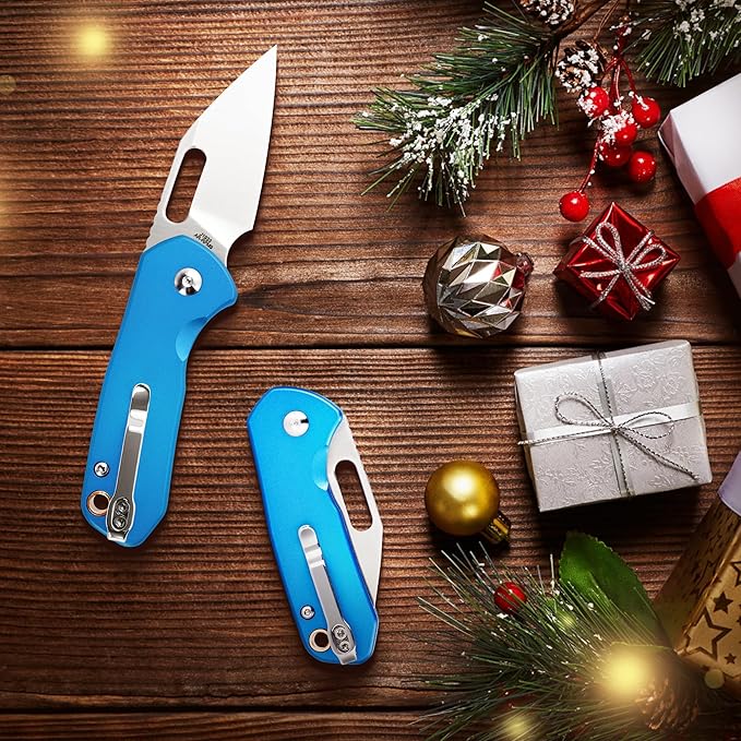 CJRB CUTLERY Mini Pyrite(J1933) Folding Pocket Knife2.17 AR-RPM9 Steel Blade and Blue Handle Small EDC Knife with Pocket Clip for Work Outdoor Hiking Camping
