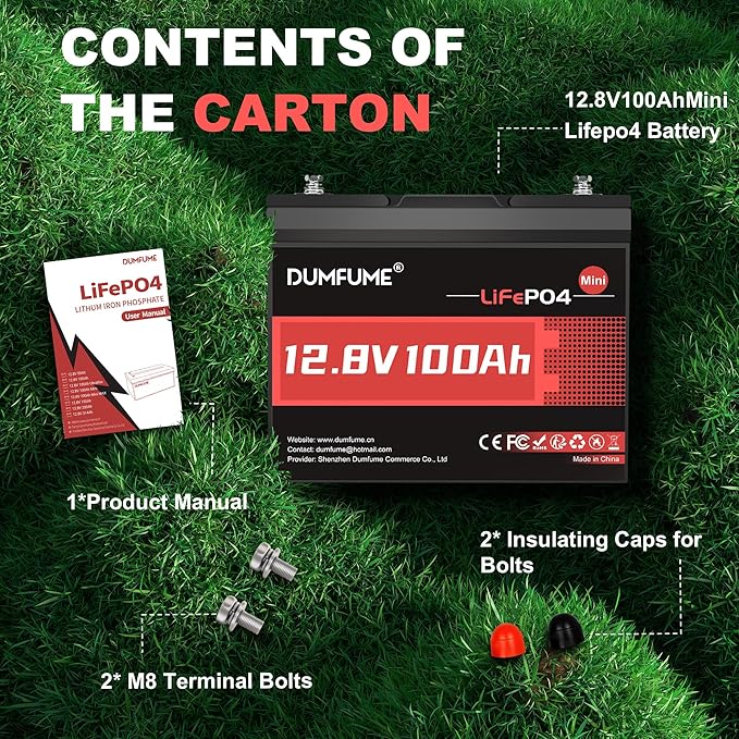 12V 100Ah Mini LiFePO4 Lithium Battery Built-in 100A BMS1280Wh Deep Cycle Rechargeable Battery 6000+ Cycles 10-Year Lifespan for RV Solar Off-Grid and Home Energy Storage