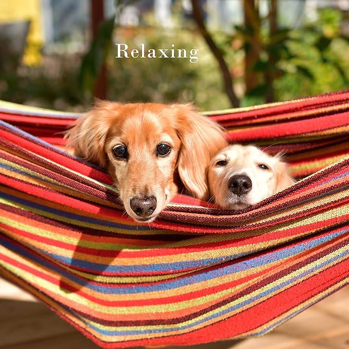 Double Brazilian Hammock with Stand Included - Woven Cotton 2-Person Outdoor Swing with Frame for Camping Backyard or Patio by Pure Garden
