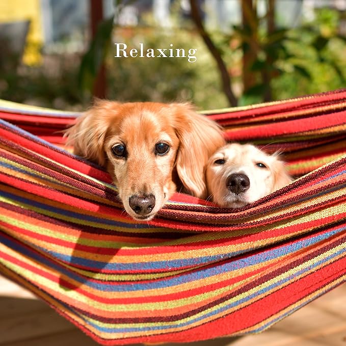 Double Brazilian Hammock with Stand Included – Woven Cotton 2-Person Outdoor Swing with Frame for Camping Backyard or Patio by Pure Garden