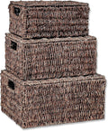 Trademark Innovations Set of 3 Rectangular Seagrass Baskets with Lids Brown (Small)