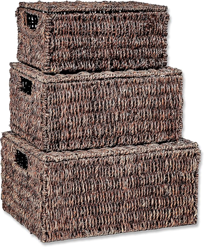 Trademark Innovations Set of 3 Rectangular Seagrass Baskets with Lids Brown (Small)